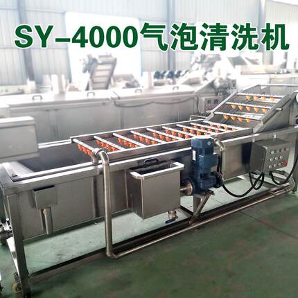 大型号黄瓜清洗机 果蔬清洗机 多产品清洗气泡连续式清洗机