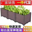 阳台蔬菜种植箱大号组合花盆家庭户外种菜箱长方形塑料种植槽 新款