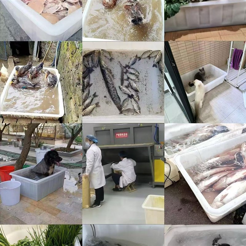 加厚牛筋塑料水箱l长方形大容量水产养殖养鱼盆养龟槽储水桶周转