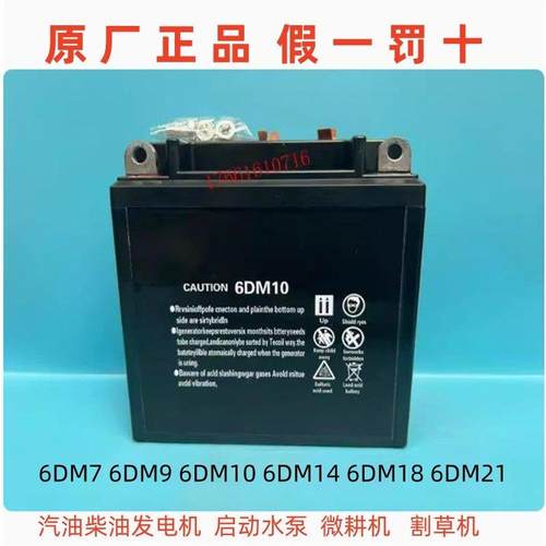 6DM18 6DM7 9 6DM10 6DM21蓄电池12V发电机水泵微耕机割草机电瓶