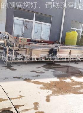 全自动多功能超NMD声波洗菜机蓝莓葡萄莓草气中泡清洗机央菜厨房