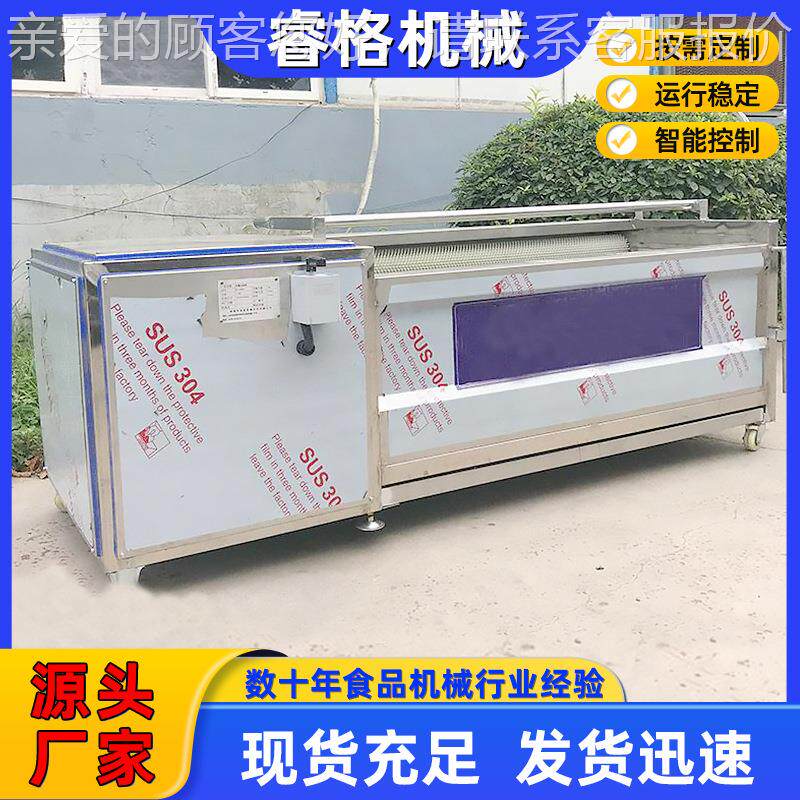 厂CSA供应牡蛎清洗机 生蚝毛辊清洗机海 蛎清洗子设备家品质保证
