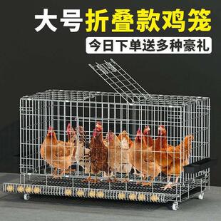 鸡笼子特大号加粗特价家用养殖笼自动滚蛋母鸡笼可折叠铁笼包邮