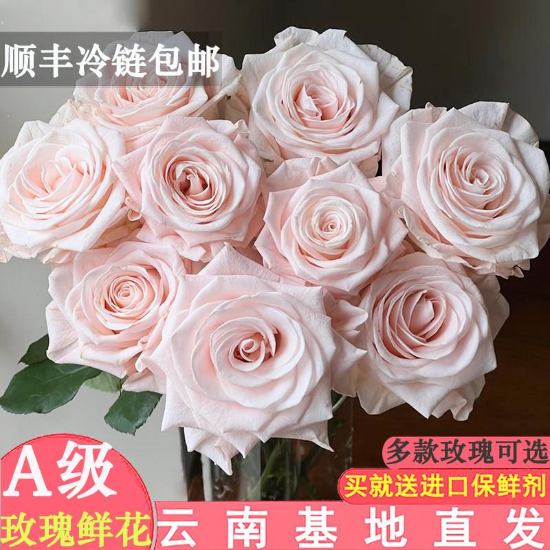 A级红玫瑰花鲜花云南基地直发洛神粉荔枝弗洛伊德花束鲜切花插花