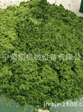西鲜牧广GQF草秸打浆机象草皇竹草秆打浆机猪鹅青养殖秆饲料打浆