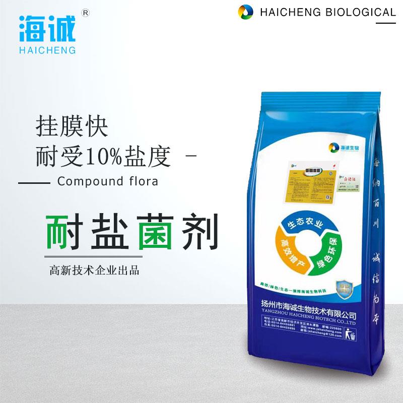耐盐菌复合菌种好氧缺氧池高盐工业污水处理速降氨氮总氮活性污泥