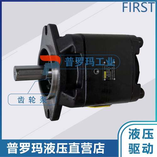 液压内啮齿轮泵SP2-63/80/100/125/145/160/180-R-P