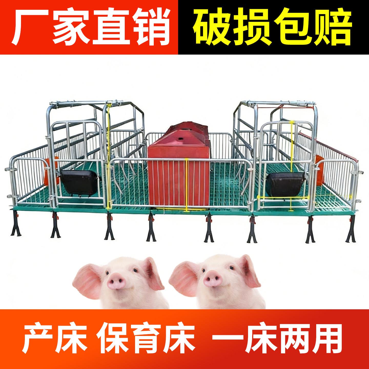 母猪产床仔猪保育床落地式小猪保育一体欧式产床高端限位栏定位栏