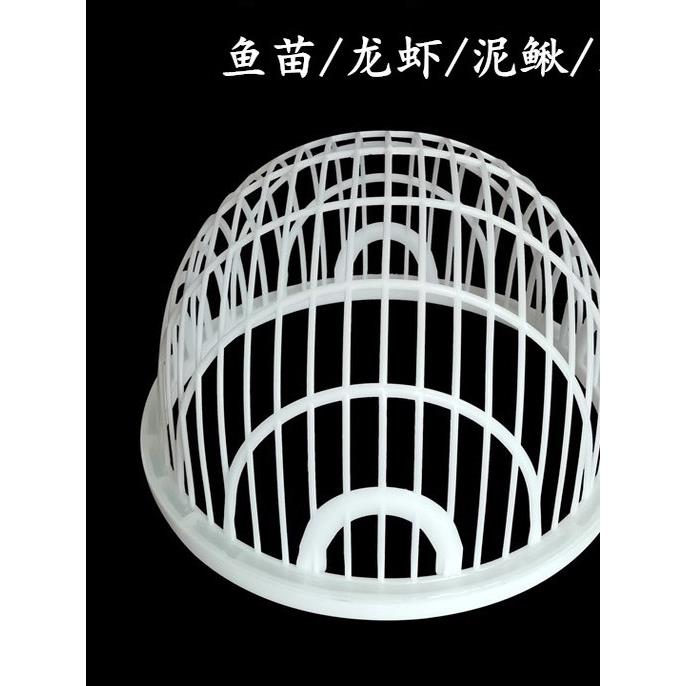 塑胶鱼筛鱼苗苗种黄颡鱼泥鳅龙虾对虾大小分级筛子黄鳝篦子浮水用