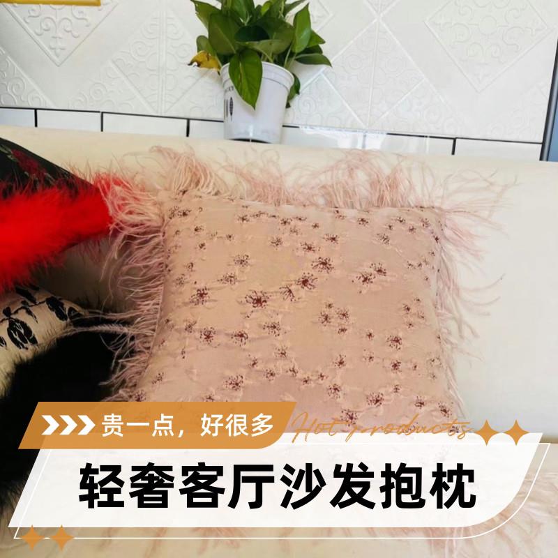 轻奢ins法式浪漫粉色客厅沙发设计复古鸵鸟羽毛装饰家居靠垫抱枕