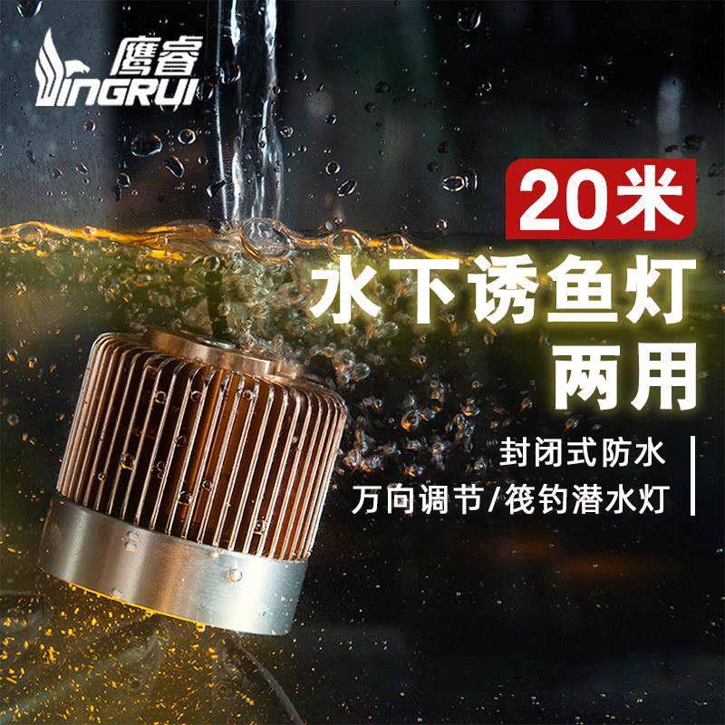 鹰睿水下诱鱼灯筏钓灯水下水上两用诱鱼灯磁铁钓鱼灯