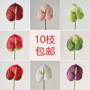 彷真花火鹤花火鹤花白掌粉掌底片3D花插花婚庆造景餐桌摆件拍摄道