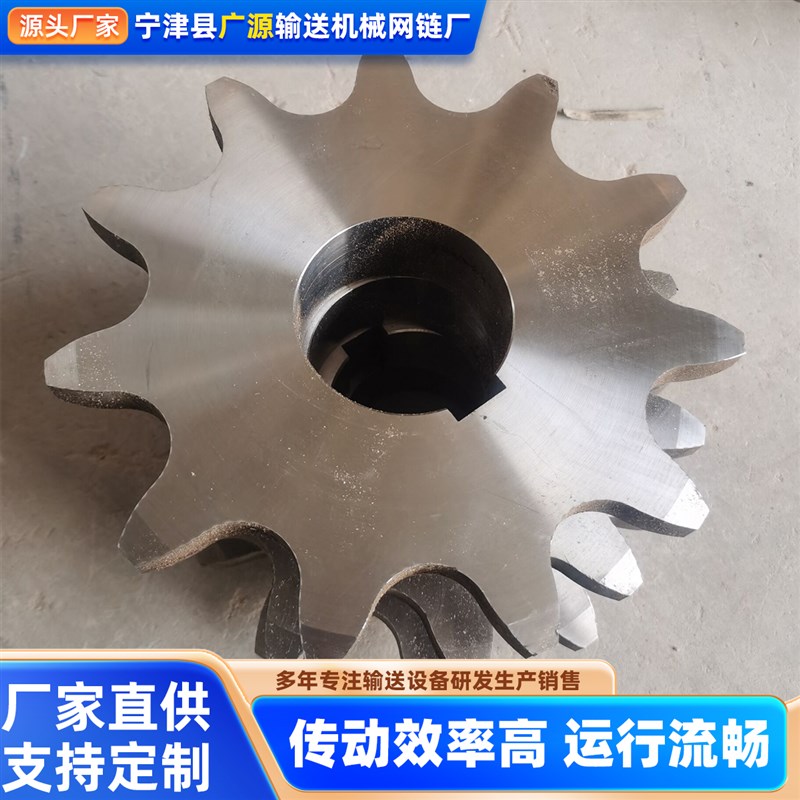 定制不锈钢链轮10b12b16A24A单排双排碳钢精密链轮齿轮机械传动轮