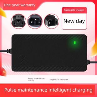 适用于新日电动汽车电池充电器48V12Ah60V20Ah72石墨烯专用铅酸锂