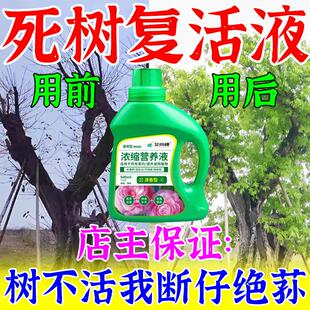 死树50年一滴救活大树成活营养液枯树烂根黄叶烂苗生根专用覆活剂
