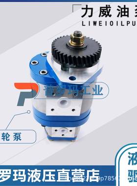 1032300027中联重科ZOOMLION合肥力威液压助力油泵QC25/13-WP-PY