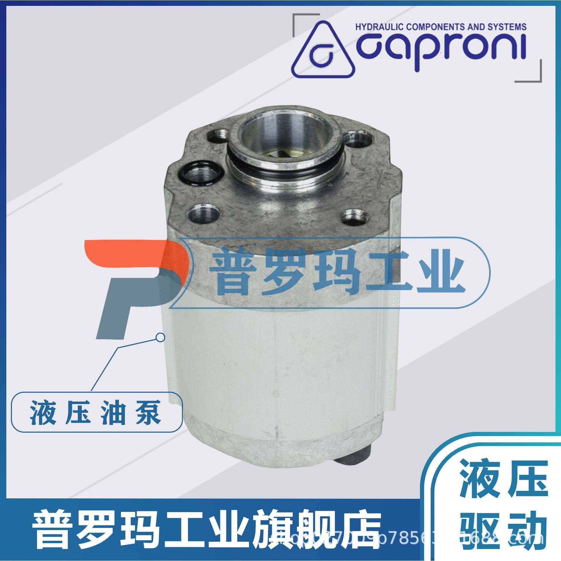 Caproni齿轮泵10A1.25X00110A1.6X00110A2.65X001油泵,标准件/零部件/工业耗材,液压泵,淘宝优惠券,粉丝福利购,淘宝优惠卷