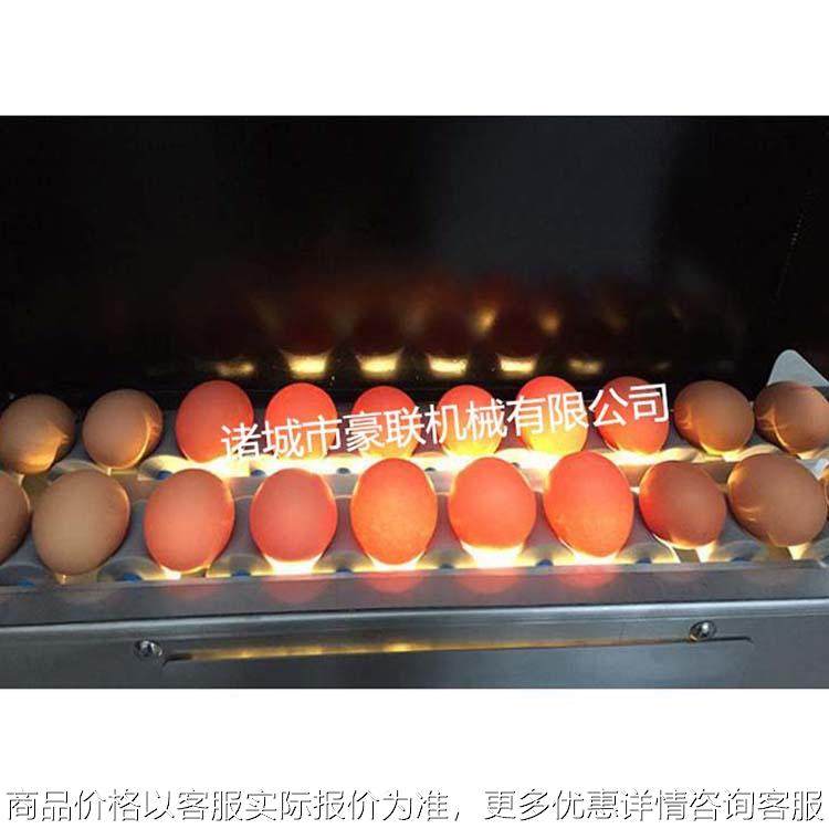 全自动洗蛋机 笨鸡蛋土鸡蛋清洗生产线 咸鸭蛋初加工清洗设备,厨房电器,其他商用厨电,淘宝优惠券,粉丝福利购,淘宝优惠卷