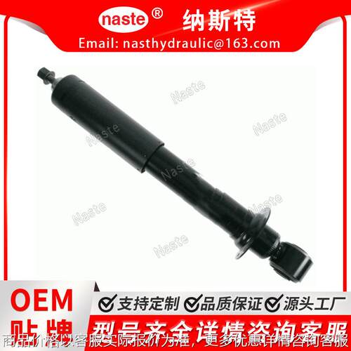 减震器后桥适用于沃尔沃 311753