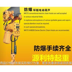 2T3吨5吨4米6米9M 单链1T 跑车鬼头式 防爆链条环链电动葫芦运行式