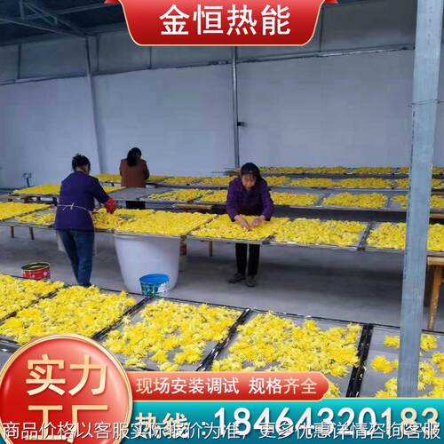 小型多功能菊花烘干机 药材花茶水果烘干箱 蘑菇鼓风式烘干机