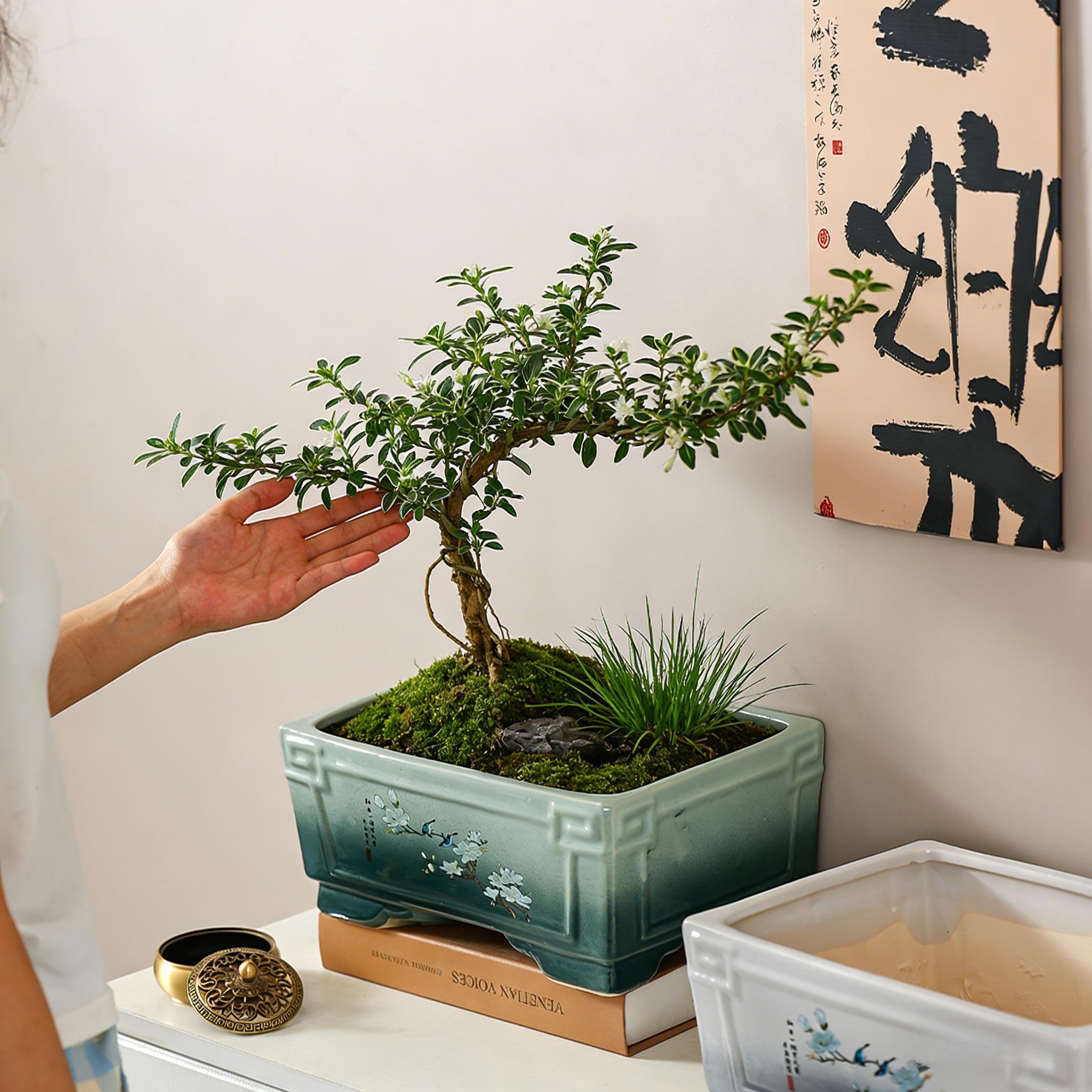 陶瓷花盆长方形绿色大号中式马槽盆家用六月雪小叶簕竹专用盆景盆