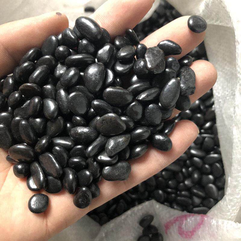 天然小黑石雨花石鹅卵石花盆鱼缸装饰石园林铺装装饰花园石