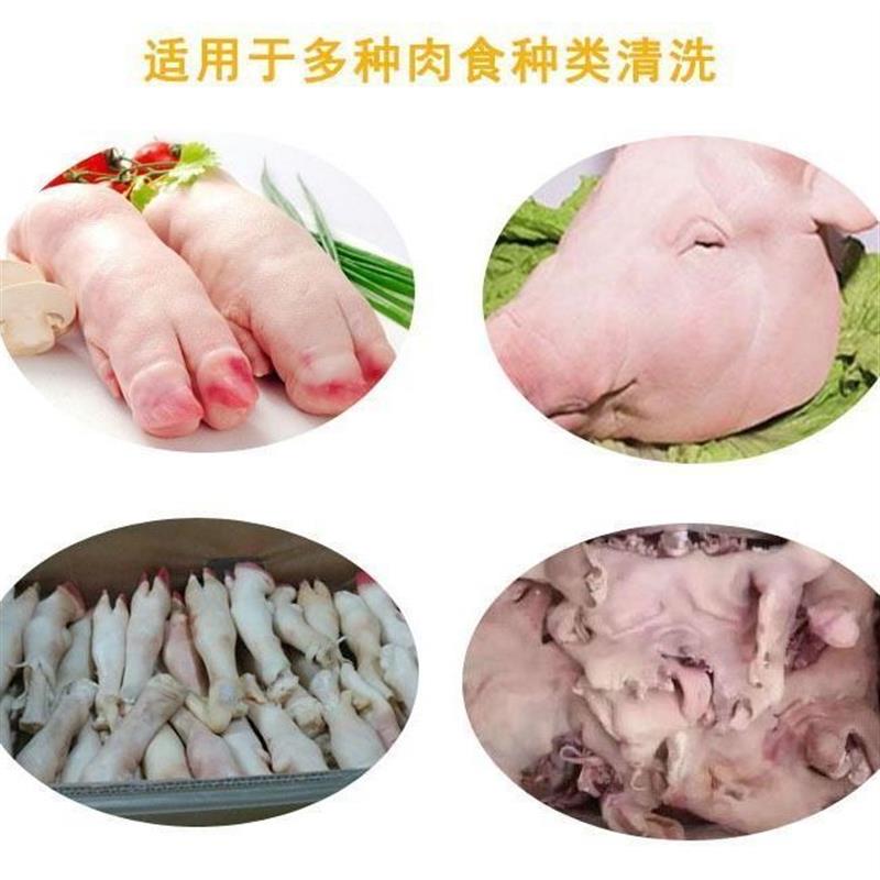 新款土豆去皮机全自动毛辊式莲藕生姜芋头红薯脱皮机生蚝清洗机