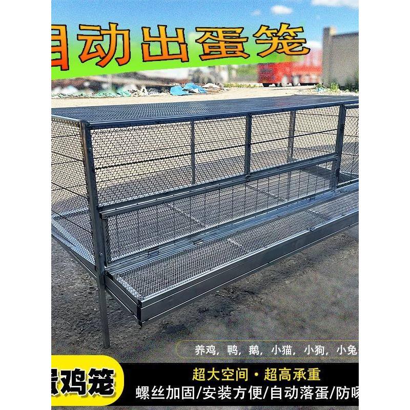 鸡笼家用室内防黄鼠狼自动出蛋饲养笼铁丝网鸽子鸭兔不锈钢养殖笼
