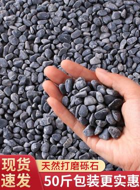 深灰色砾石石子黑色石头水洗石庭院颗粒造景铺路枯山水花园碎米石