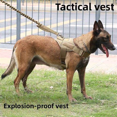 战术狗背心背心皮带狗套装马具中型和大型狗K9金毛猎犬德国牧羊犬