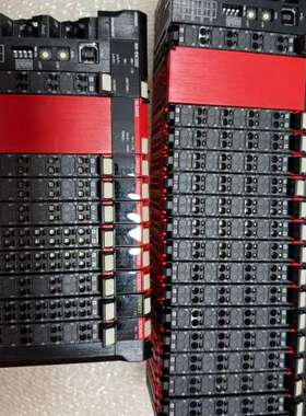 议价NX-EIC202有2片