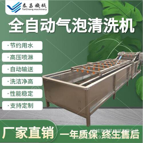 全自动冲洗式大型洗菜机 商用型气泡清洗机 草莓圣女果专用清洗机