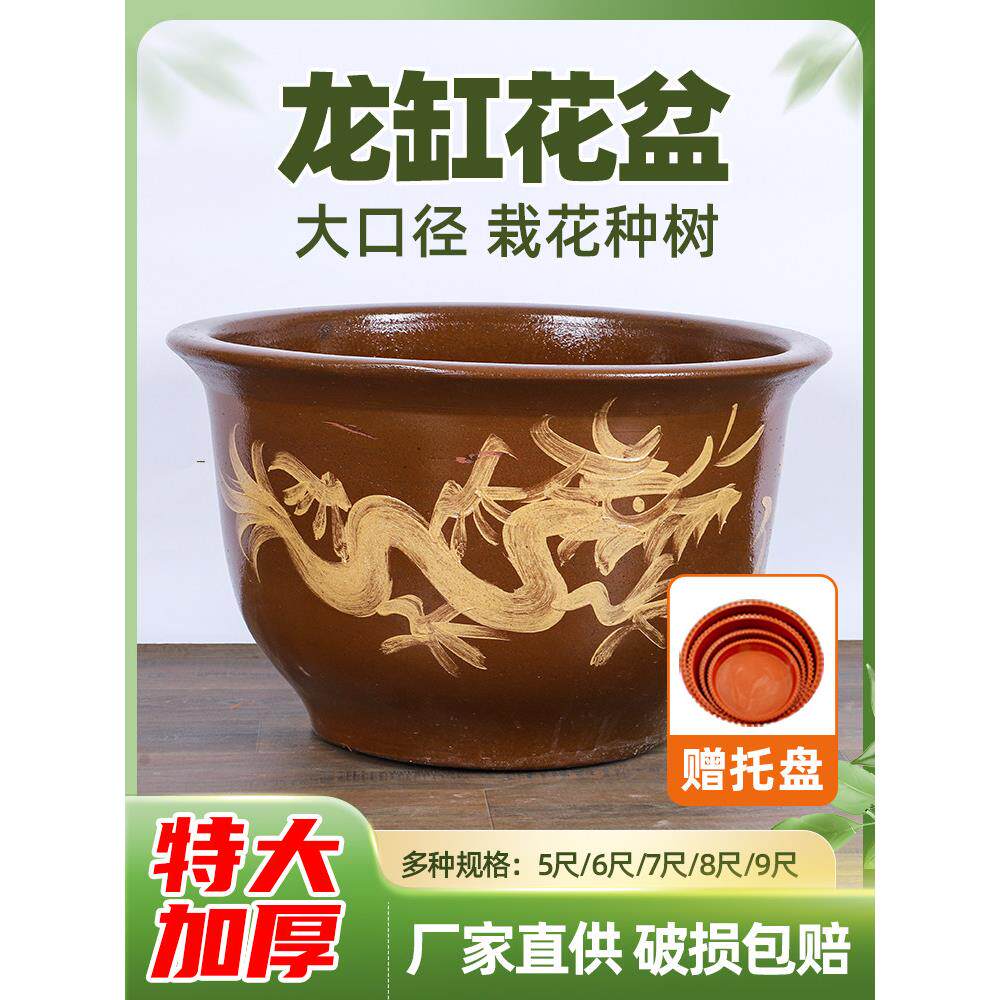 龙缸花盆铁树专用陶瓷花盆特大号陶土缸粗陶花盆铁树桂花树种树盆