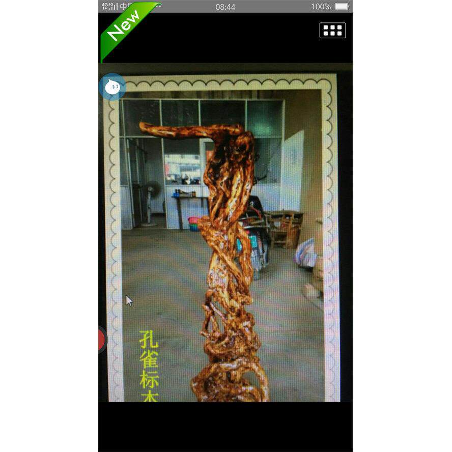 新款根雕花架孔雀老鹰标本站立支架底座天然实木客厅落地摆件装饰