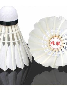 洛唯羽毛球12支k装6个装耐打羽毛球白色黑色室外学习训练球