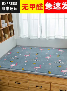 榻榻米垫卧室炕垫农村大炕床垫家用F加厚塌塌米折叠订做飘窗垫定