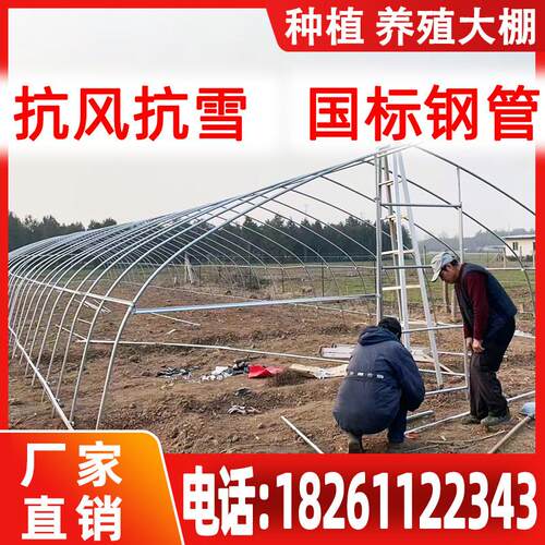 镀锌温室大棚钢管铁管全套养鸡6米种植草莓蔬菜养殖大棚骨架连栋