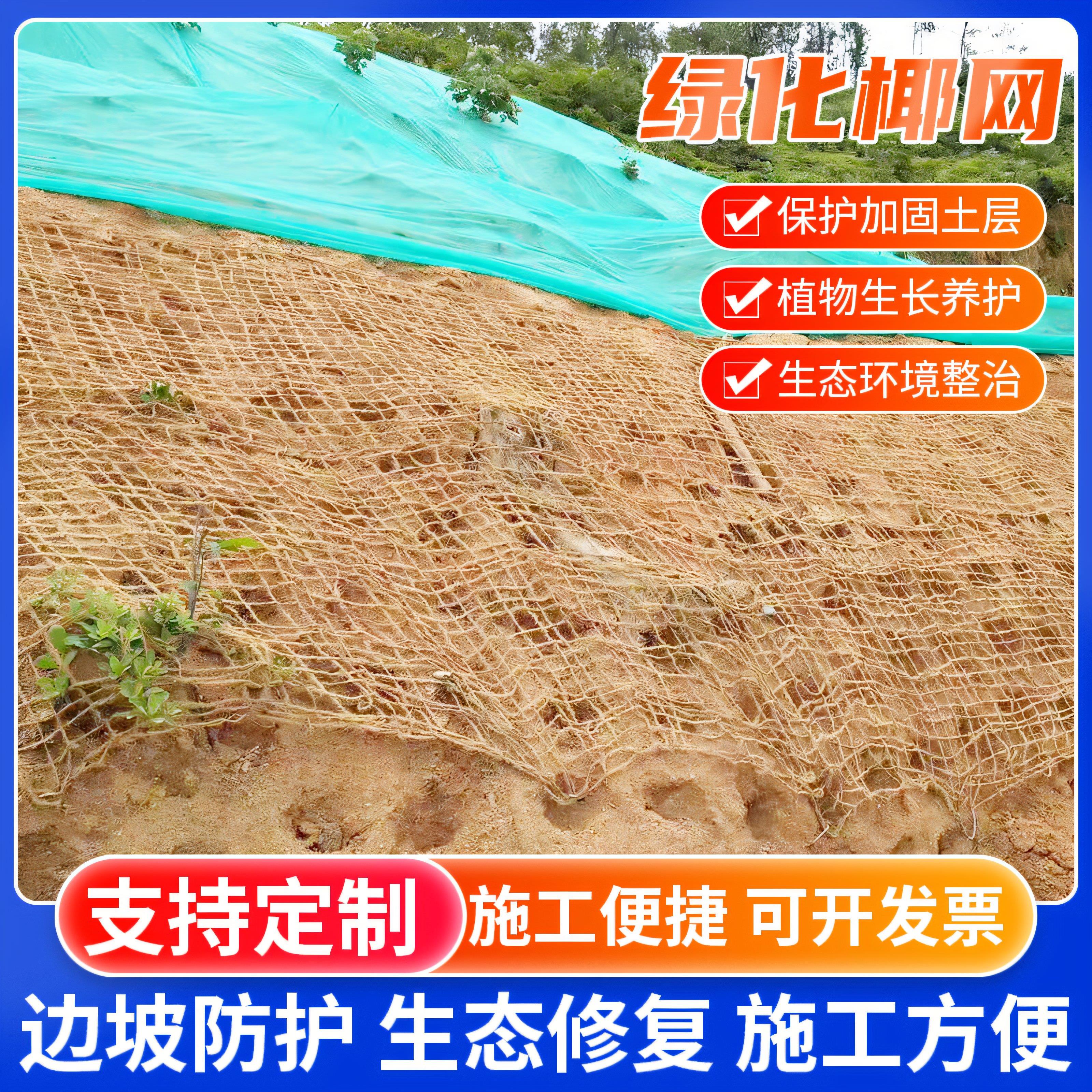 喷浆椰网椰纤维边坡绿化CF网矿山挂网防护生态修复客土喷播网
