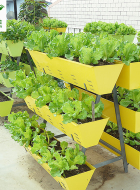 长方形室内绿色土培种菜箱阶梯园艺种植花架阳台花盆花槽种植箱