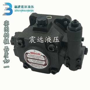 50S ANSON叶片泵 VP5F