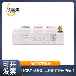 SKM100GB12T4 SKM100GB12T4G SKM100GB063D晶体管 IGBT模块 全新