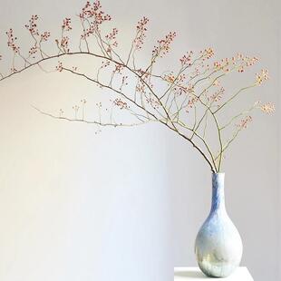 红色山归来鲜切蔷薇果枝条鲜花云南直发红色室内水培绿植插花干