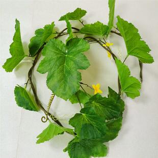 彷真南瓜藤西瓜丝瓜藤大叶藤假植物藤条绿色叶藤田园缠绕挂藤造景