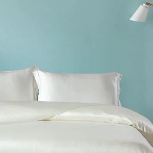 乐暖贝精选 19姆米真丝枕套 宽边 AB版高性价比款 多色可选