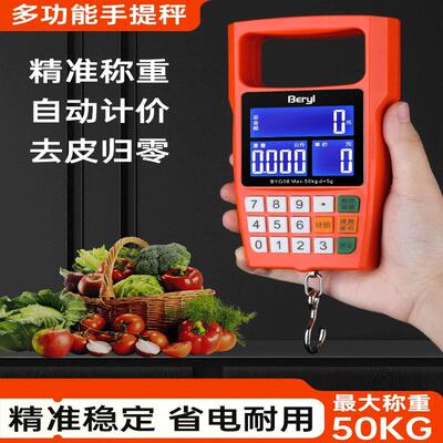 手提电子秤可携式小型高精度迷你可携式称快点称买 菜防欺诈手提