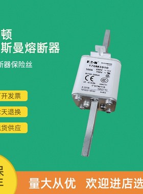 全新快速熔断器保险170M3061 170M3062H 170M3063 170M3064