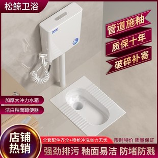 存水弯蹲厕便大便器池防臭蹲便器水箱套装 蹲便器家b用蹲坑式 卫生