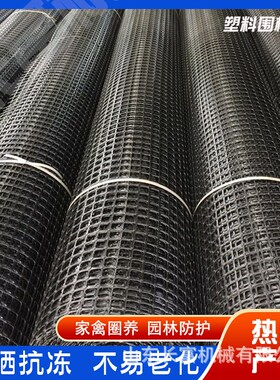 塑料养殖网 小孔网养鸡鸭围网 户外防护网 围栏网 黑色网土工格栅