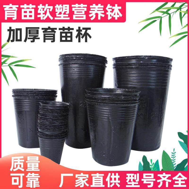 黑色加厚育苗袋营养种植袋批w发杯pe塑料育苗盘植物园艺育苗盆育